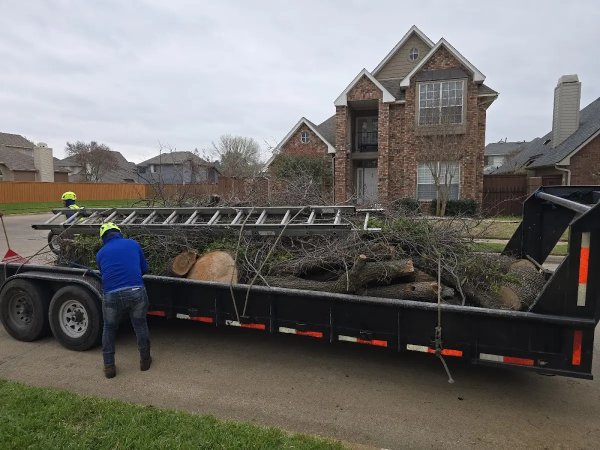 Expert Tree Fertilization with proper safety equipment in Leopolis